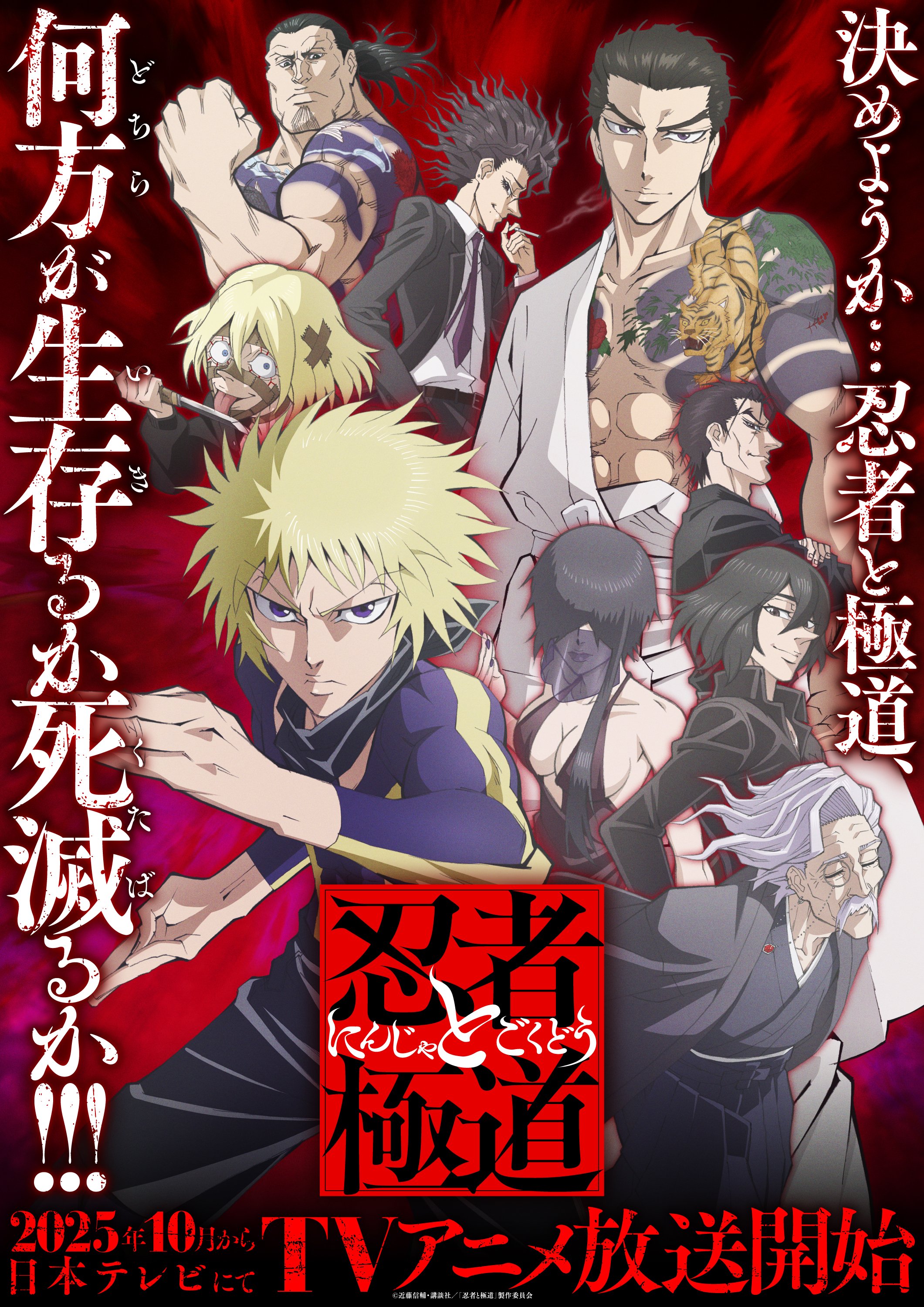Ninja vs Gokudo - First Anime Teaser Visual