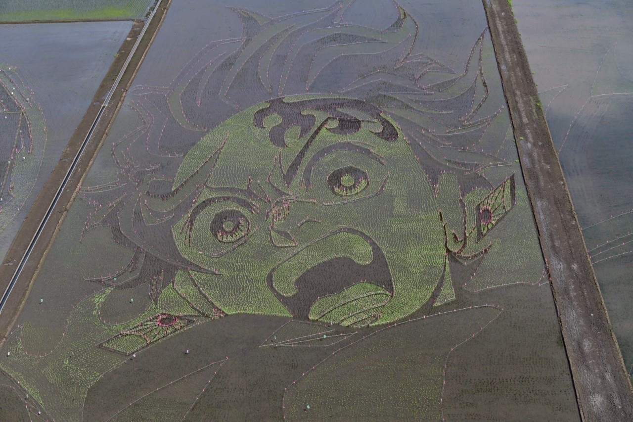 Demon Slayer - Tanjiro Kamado Rice Field Project Ahead of Infinity Castle Movie 1