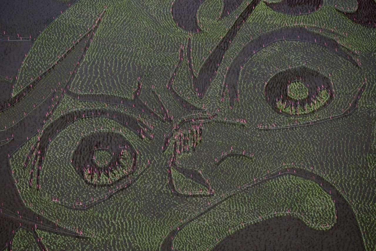 Demon Slayer - Tanjiro Kamado Rice Field Project Ahead of Infinity Castle Movie 1