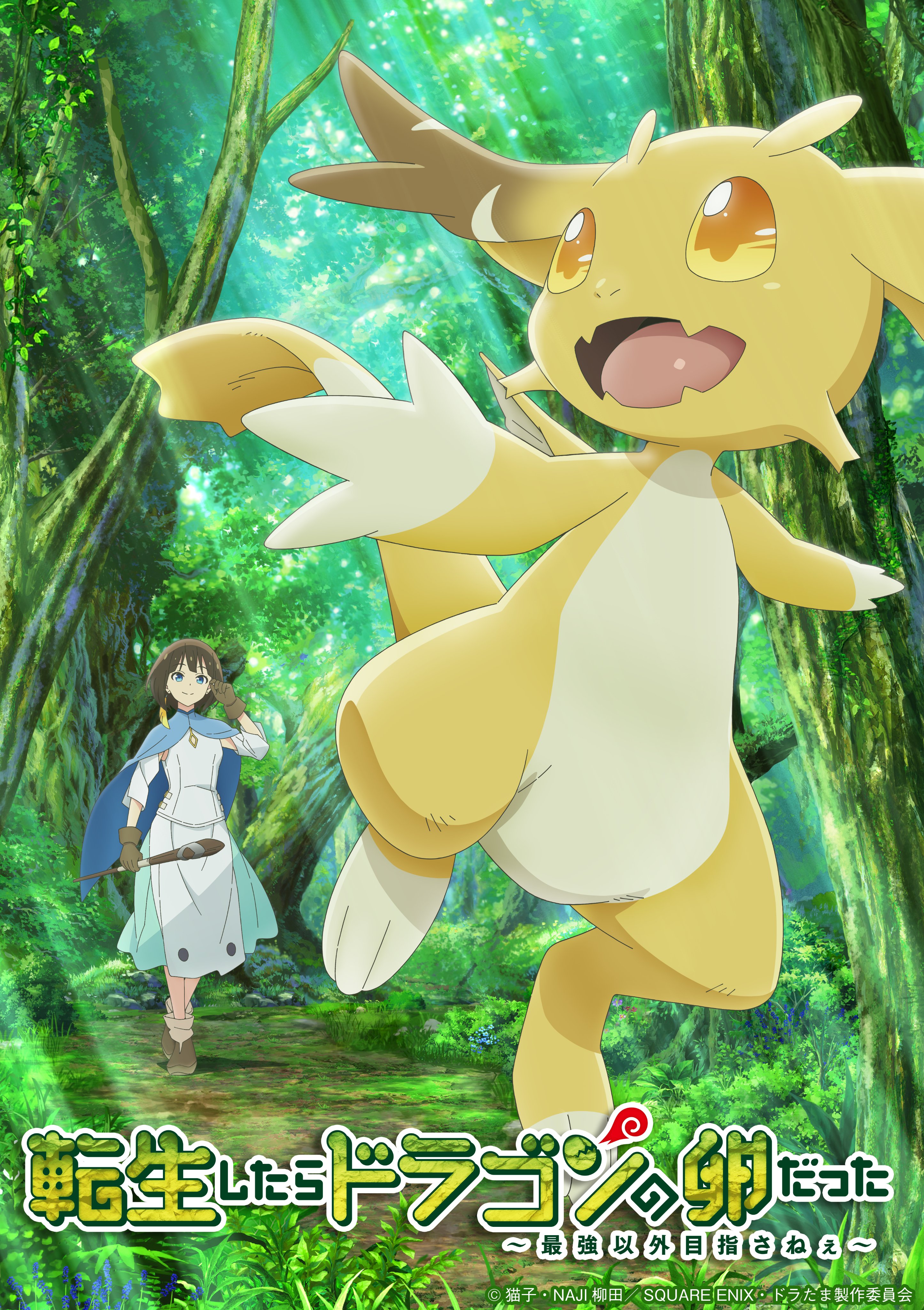 Reincarnated as a Dragon Hatchling - New Key Visual | 2026 Release Date