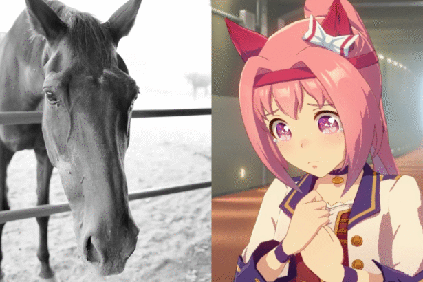 Featured Image: Haru Urara, the Racehorse Who Inspired Uma Musume Character, Passes Away at 29