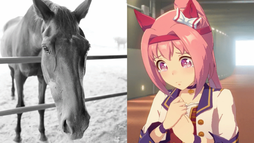 Featured Image: Haru Urara, the Racehorse Who Inspired Uma Musume Character, Passes Away at 29
