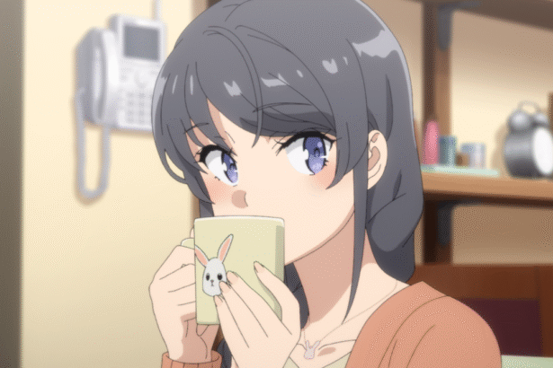 Featured Image: Rascal Does Not Dream of Santa Claus Gets Sequel Movie in 2026