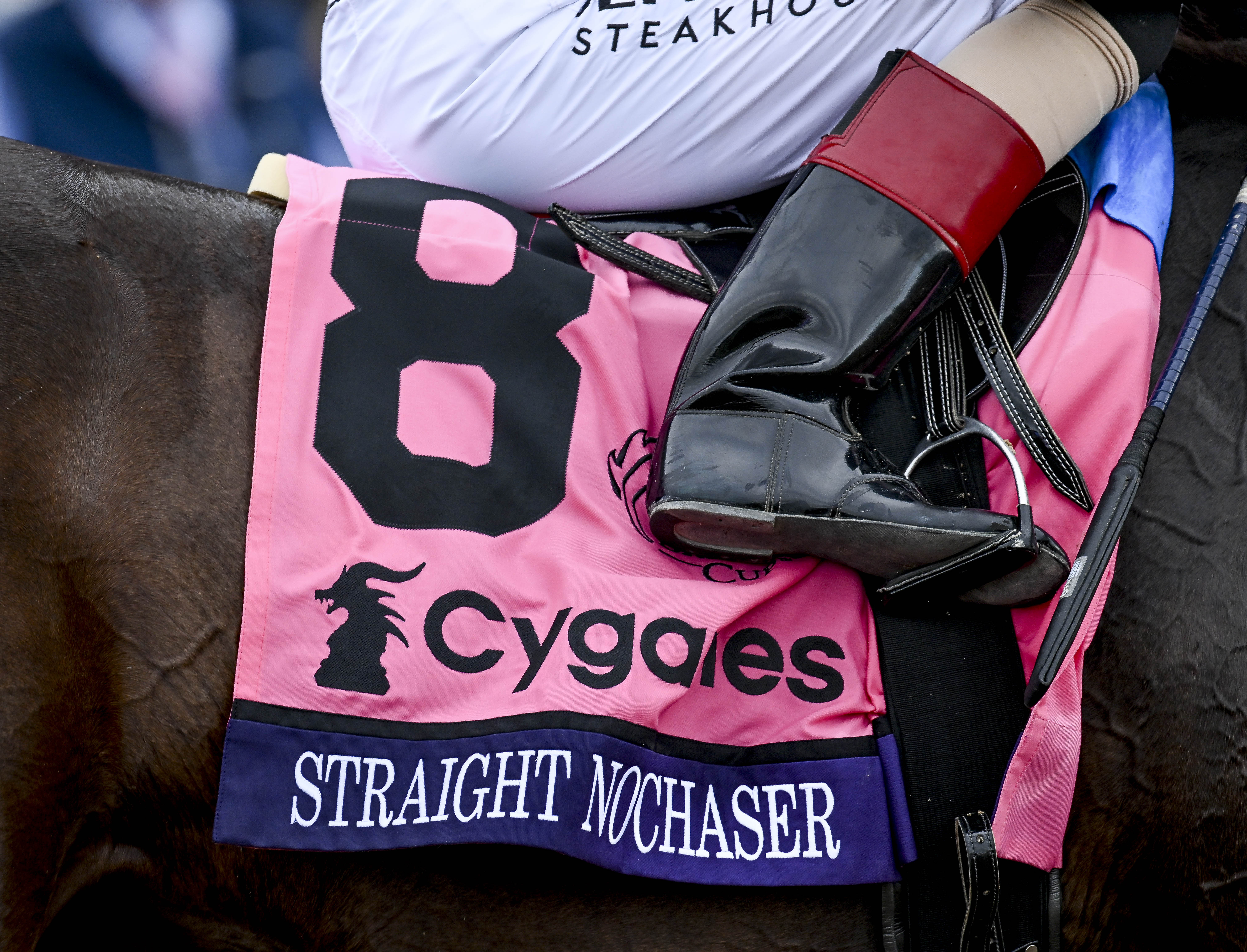 Straight No Chaser (8), ridden by John Velazquez, the Cygames Breeders Cup Sprint on Breeders Cup Championship Saturday at Del Mar Thoroughbred Club in Del Mar, California on November 2, 2024. Carlos J. Calo/Eclipse Sportswire/Breeders Cup Straight No Chaser (8), ridden by John Velazquez, wins the Cygames Breeders's Cup Sprint
on Breeders Cup Championship Saturday at Del Mar Thoroughbred Club in Del Mar, California on November 2, 2024. Carlos Calo/Eclipse Sportswire/Breeders Cup